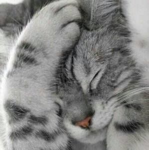 Meet your Posher, Eduardo